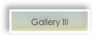 Gallery III 