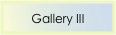 Gallery III 