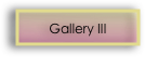 Gallery III 