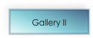 Gallery II 
