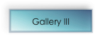 Gallery III 