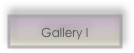Gallery I