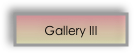 Gallery III 