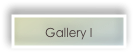 Gallery I