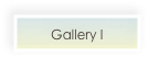 Gallery I