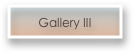 Gallery III 