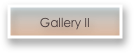 Gallery II 