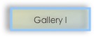 Gallery I