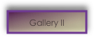 Gallery II 