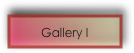Gallery I