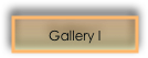 Gallery I