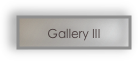 Gallery III 