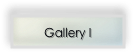 Gallery I