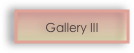 Gallery III 